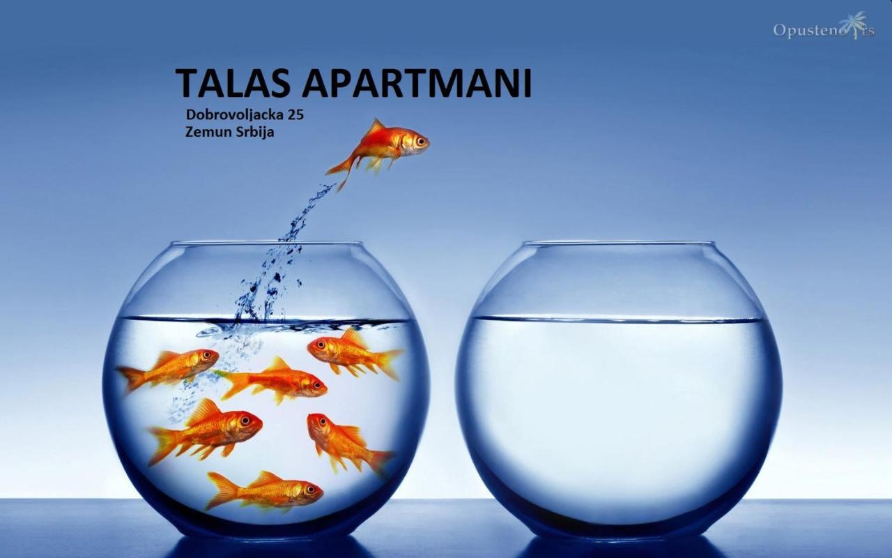 Talas Apartmani 베오그라드 외부 사진